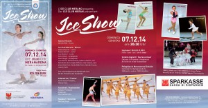 Flyer3