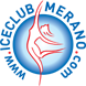 ICM Logo 78px
